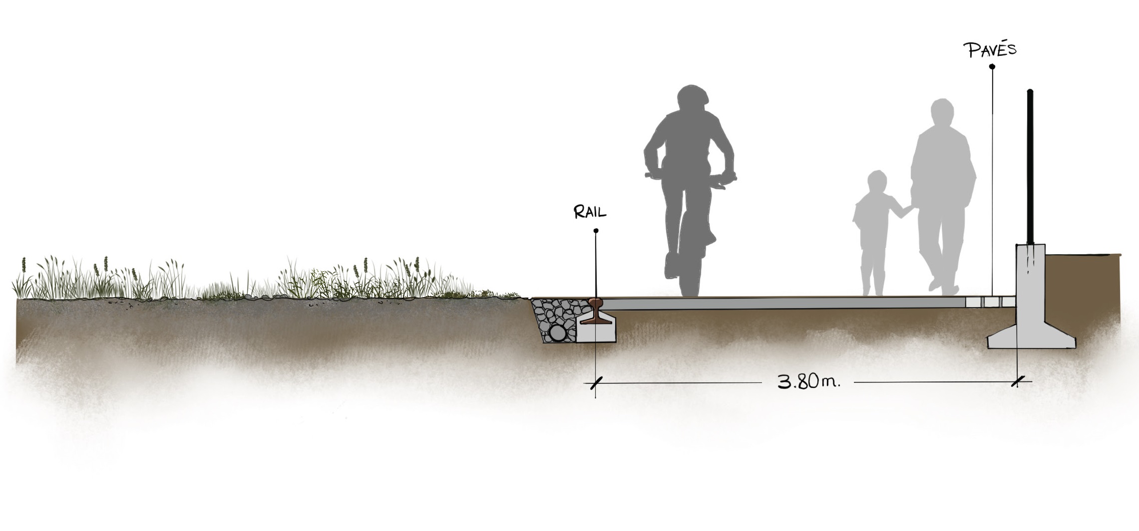 COUPE TYPE ILLUSTRATIVE